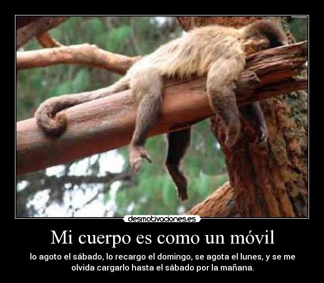Mi cuerpo es como un móvil -