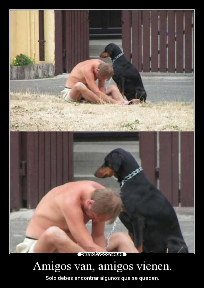 Amigos van, amigos vienen. - 