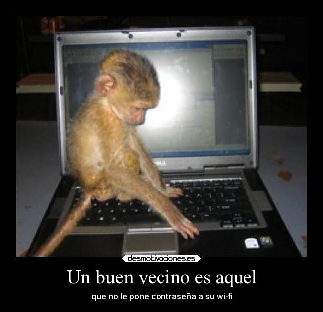 Un buen vecino es aquel - que no le pone contraseña a su wi-fi