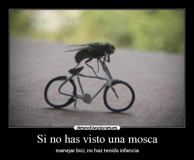 Si no has visto una mosca - manejar bici, no haz tenido infancia