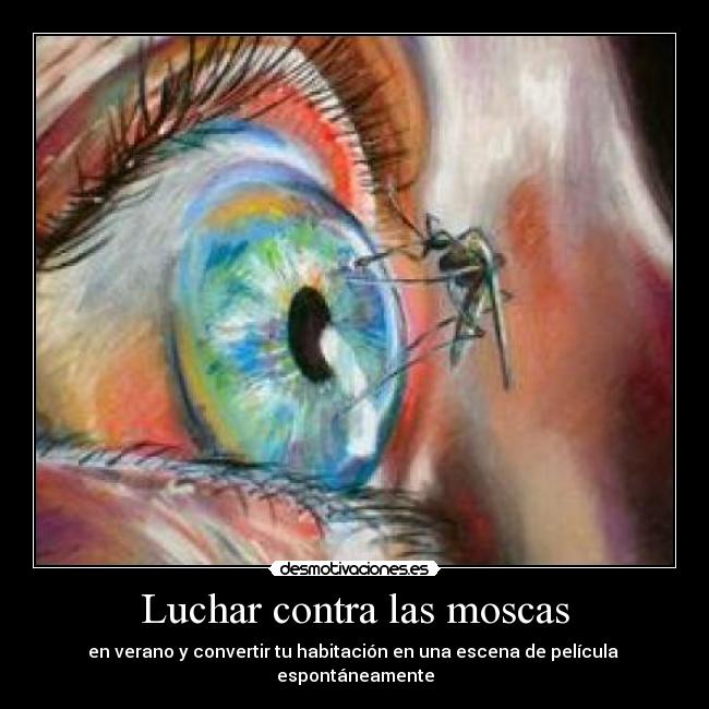 Luchar contra las moscas - en verano y convertir tu habitación en una escena de película espontáneamente