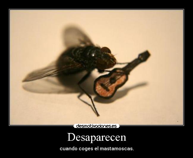 Desaparecen - cuando coges el mastamoscas.