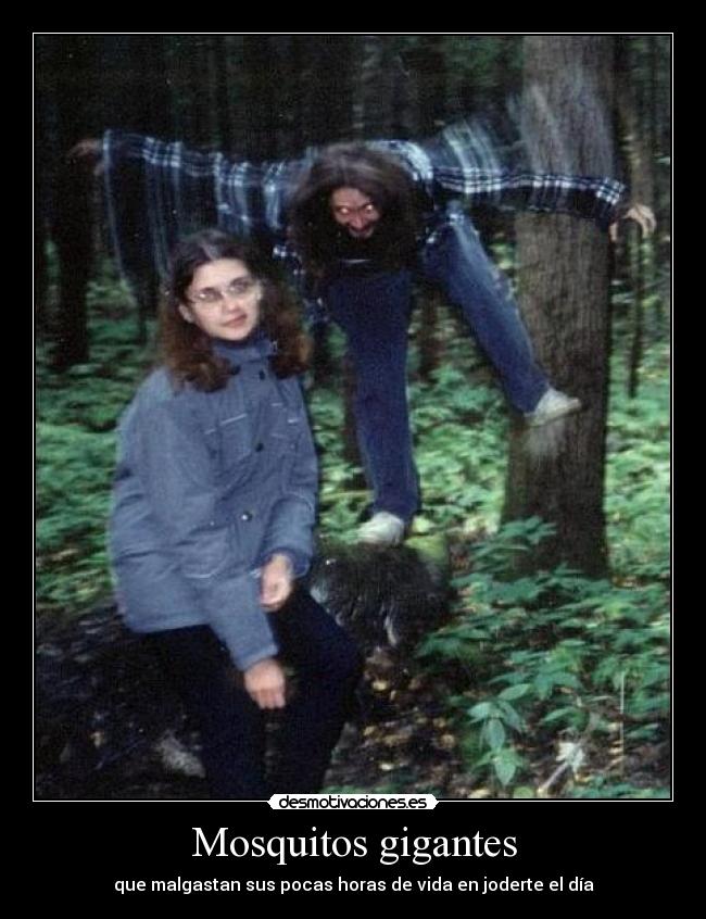 carteles eften desmotivaciones