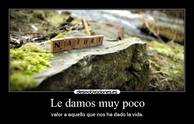 Le damos muy poco - 
