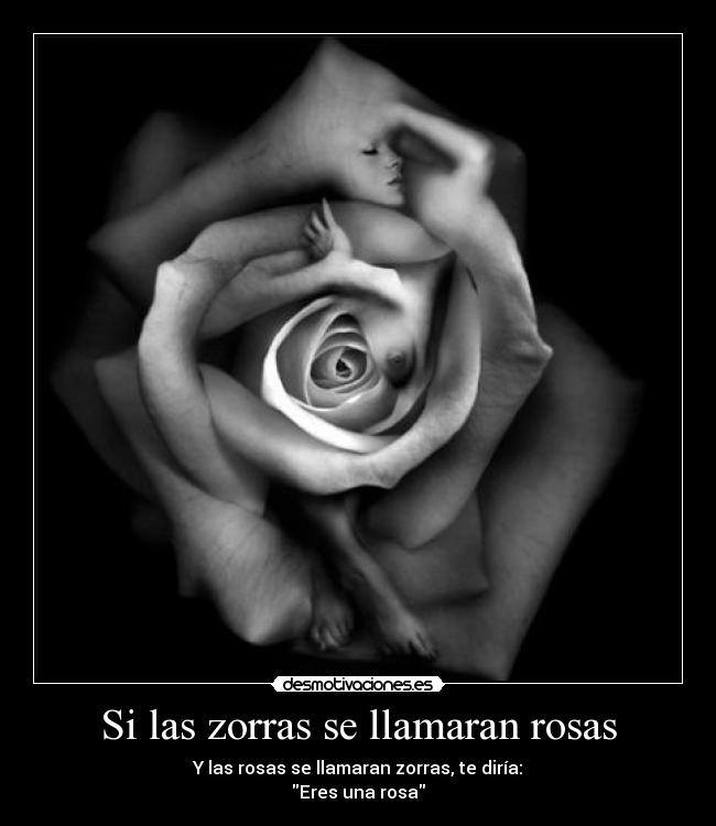 carteles las zorras llamaran rosas desmotivaciones