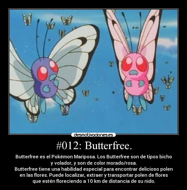 carteles pokemaster challengeaccepted haztecontodos continua aventura pokemon desmotivaciones