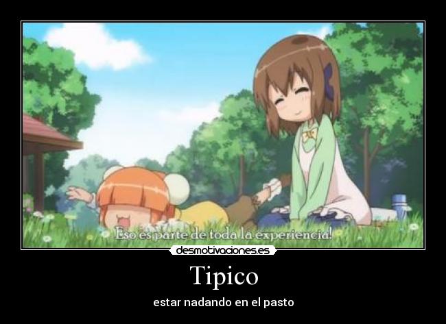 Tipico - 