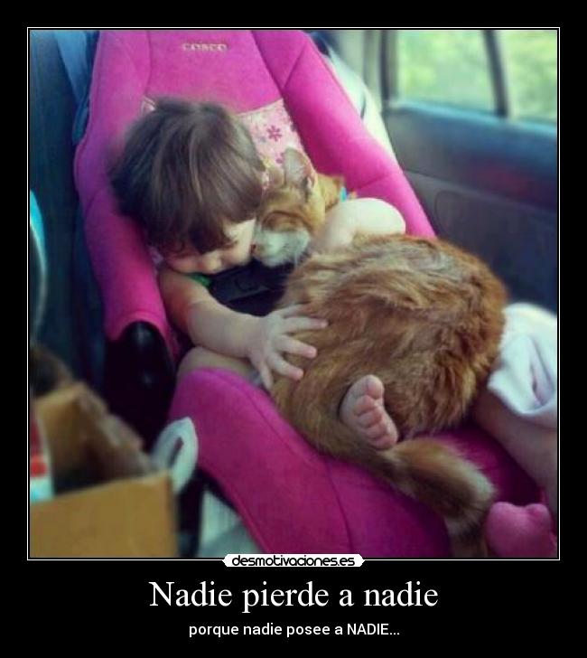 Nadie pierde a nadie - 