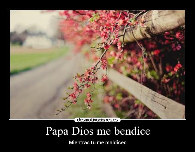 Papa Dios me bendice - 