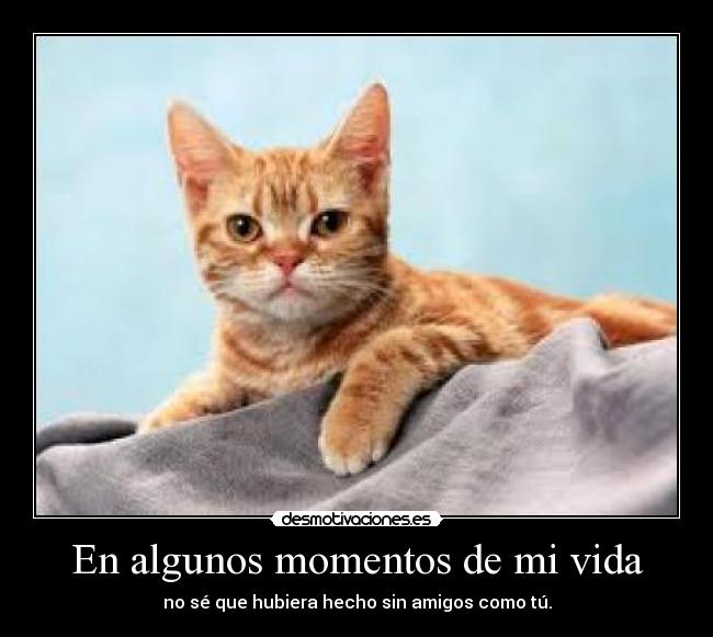 En algunos momentos de mi vida -