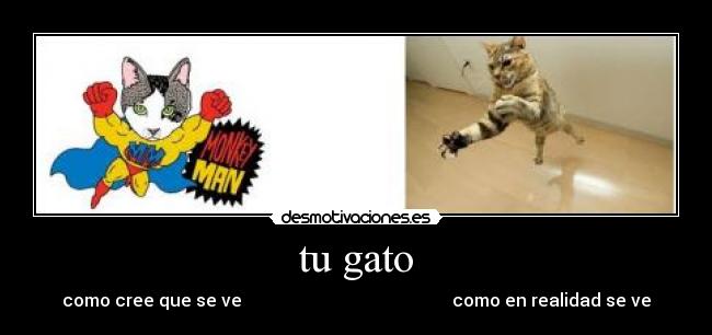 carteles canadiensesexy desmotivaciones