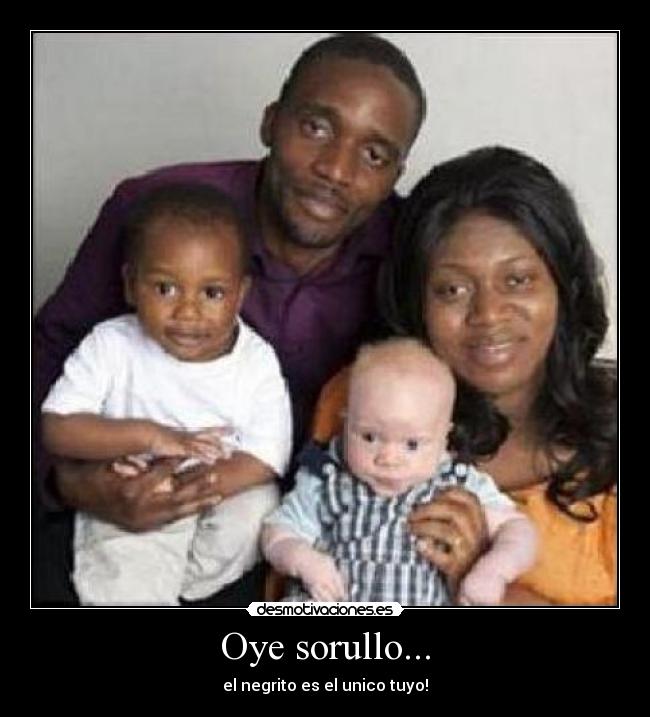 carteles sorullo capullo desmotivaciones