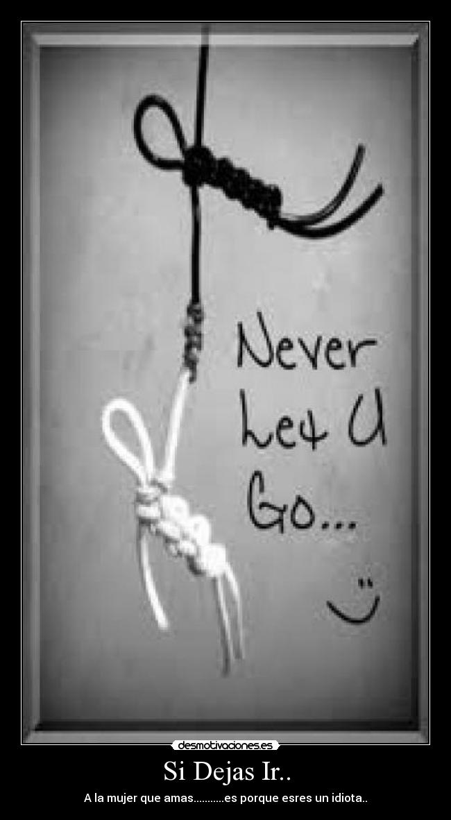 Si Dejas Ir.. - A la mujer que amas...........es porque esres un idiota..