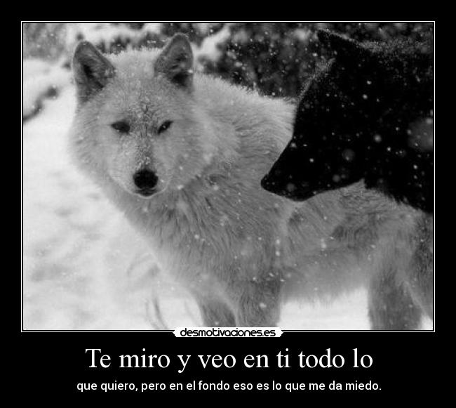 carteles desmopornositas clanpechitos lado puke por regla que odia desmotivaciones