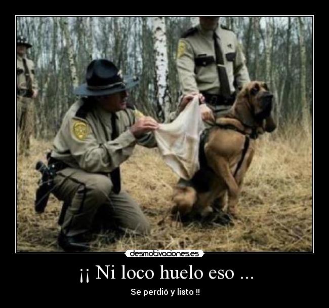 ¡¡ Ni loco huelo eso ... - Se perdió y listo !!