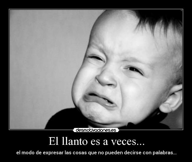 carteles llanto desmotivaciones