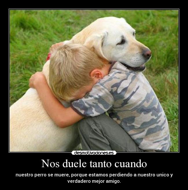 carteles dolor desmotivaciones