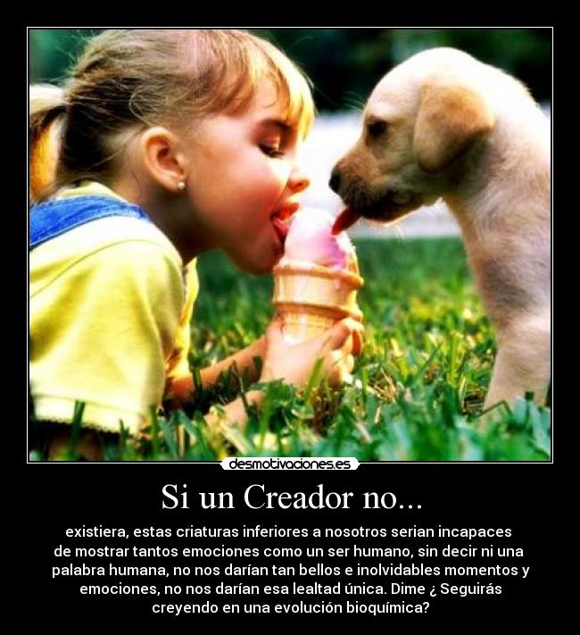 Si un Creador no... - existiera, estas criaturas inferiores a nosotros serian incapaces 
de mostrar tantos emociones como un ser humano, sin decir ni una 
palabra humana, no nos darían tan bellos e inolvidables momentos y
emociones, no nos darían esa lealtad única. Dime ¿ Seguirás
creyendo en una evolución bioquímica?