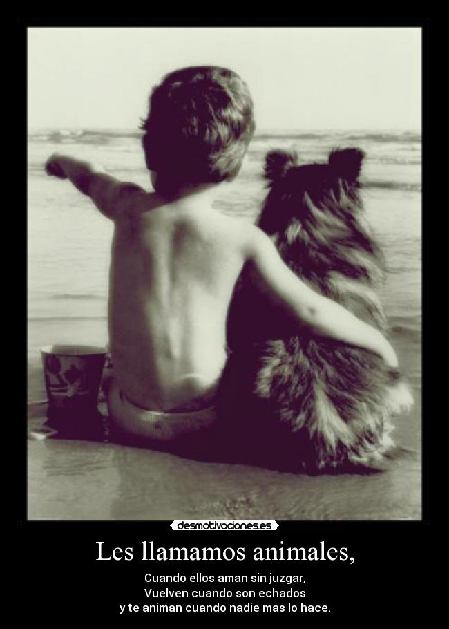 Les llamamos animales, - Cuando ellos aman sin juzgar,
Vuelven cuando son echados
y te animan cuando nadie mas lo hace.