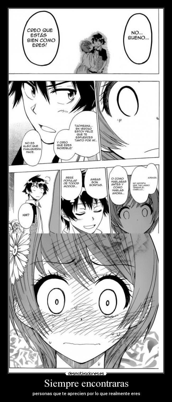 Siempre encontraras -