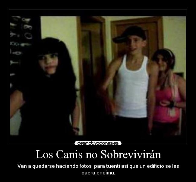 carteles desmotivaciones canis desmotivaciones