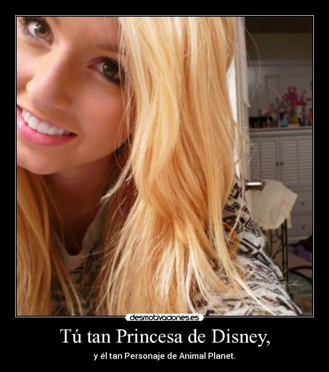 carteles princesa desmotivaciones