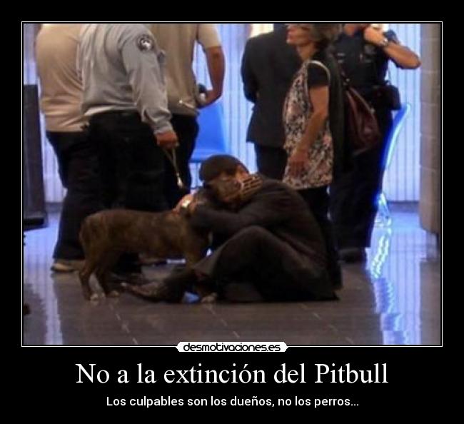 carteles extincion del pitbull desmotivaciones