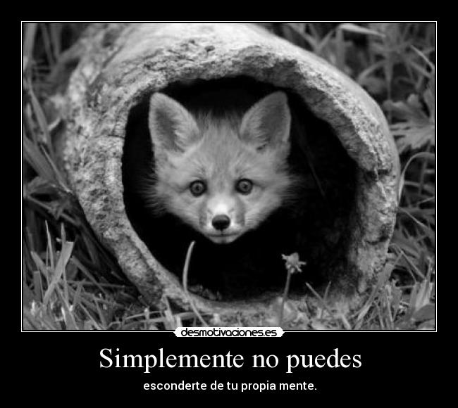 Simplemente no puedes -