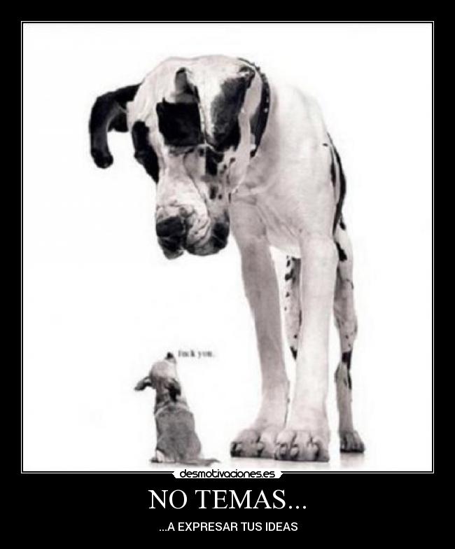 NO TEMAS... - ...A EXPRESAR TUS IDEAS