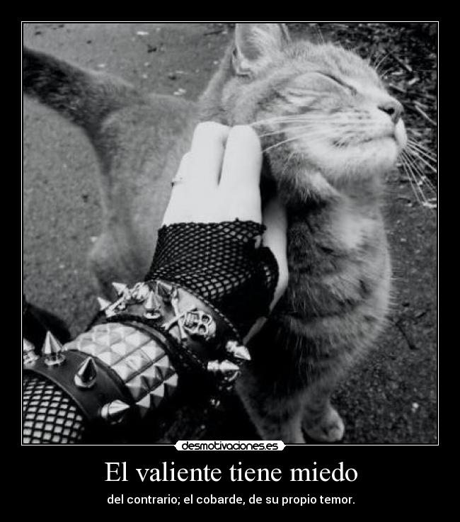 El valiente tiene miedo - del contrario; el cobarde, de su propio temor.