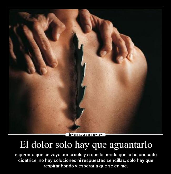 El dolor solo hay que aguantarlo - esperar a que se vaya por si solo y a que la herida que lo ha causado
cicatrice, no hay soluciones ni respuestas sencillas, solo hay que
respirar hondo y esperar a que se calme.