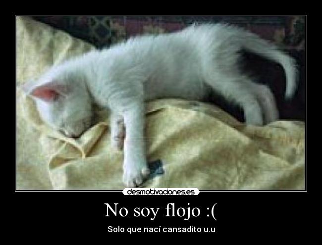 No soy flojo :( -