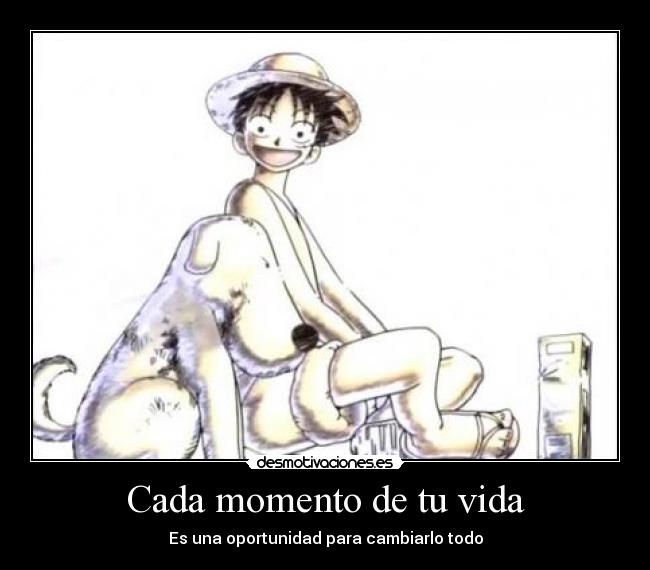 carteles vida one piece luffy chouchou oxo alex empece desmotivaciones