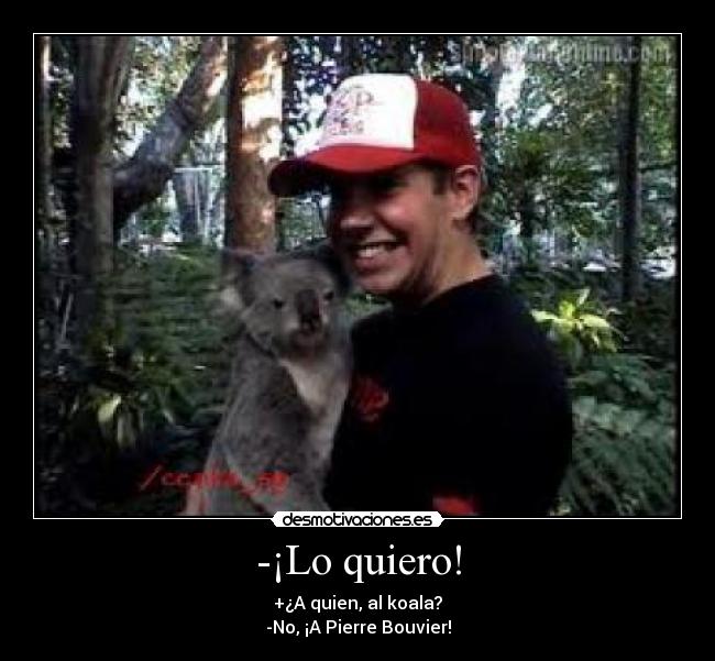 -¡Lo quiero! - +¿A quien, al koala?
-No, ¡A Pierre Bouvier!