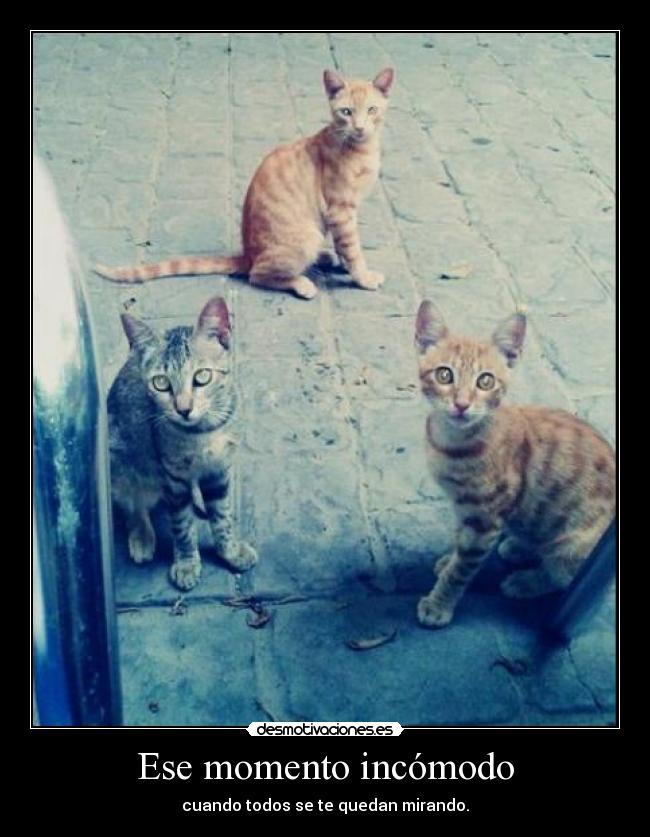 Ese momento incómodo - cuando todos se te quedan mirando.