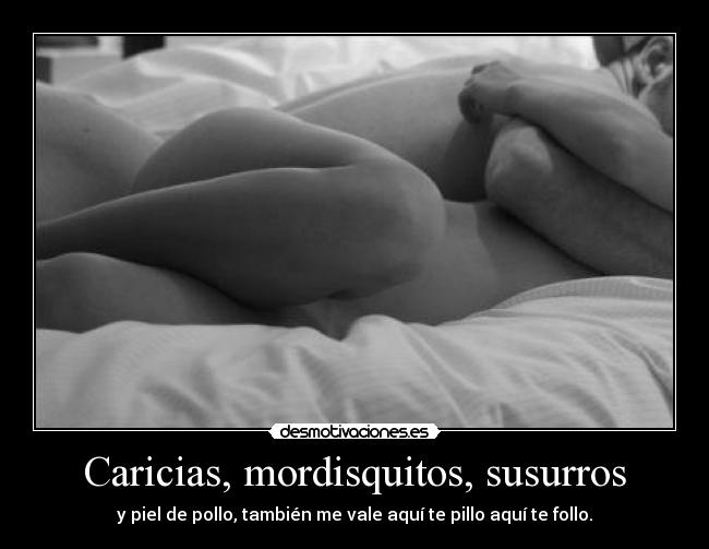 Caricias, mordisquitos, susurros - y piel de pollo, también me vale aquí te pillo aquí te follo.