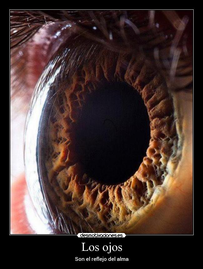 Los ojos -
