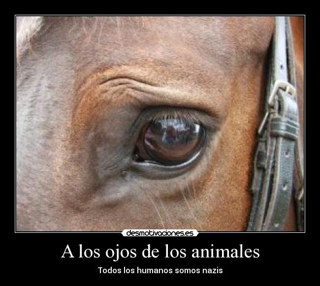 A los ojos de los animales - Todos los humanos somos nazis
