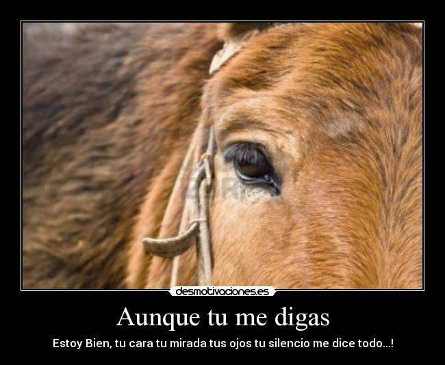 Aunque tu me digas - 