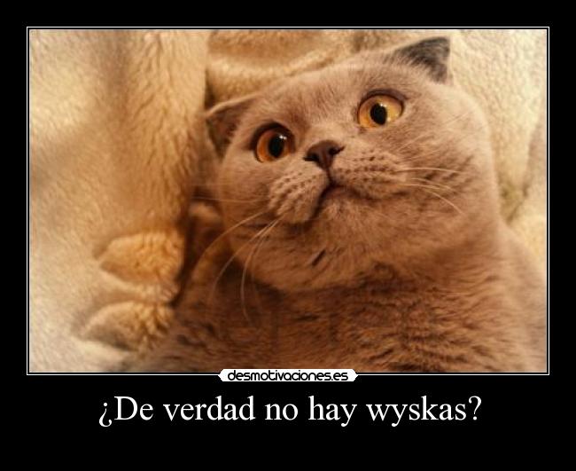 ¿De verdad no hay wyskas? -