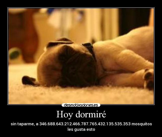 Hoy dormiré - sin taparme, a 346.688.643.212.466.787.765.432.135.535.353 mosquitos les gusta esto