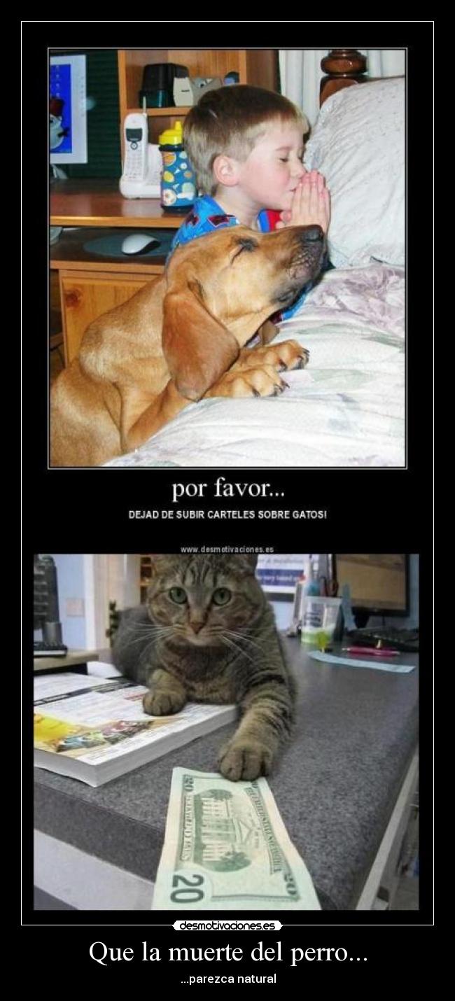 Que la muerte del perro... - ...parezca natural