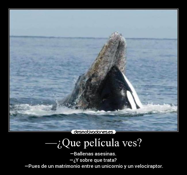 —¿Que película ves? - —Ballenas asesinas. 
—¿Y sobre que trata? 
—Pues de un matrimonio entre un unicornio y un velociraptor.
