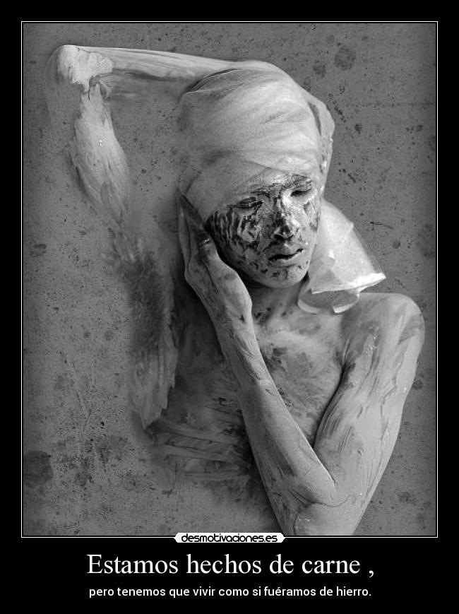 Estamos hechos de carne , -