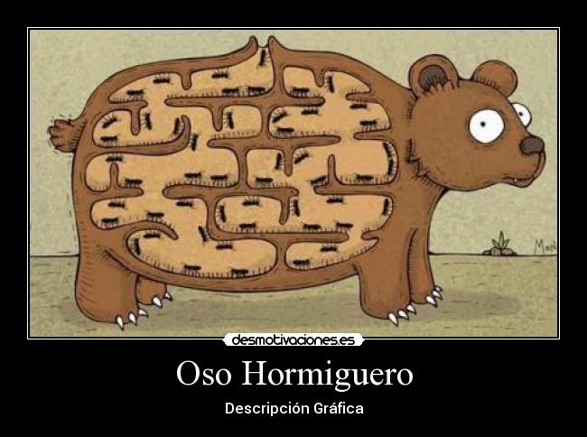 Oso Hormiguero - 