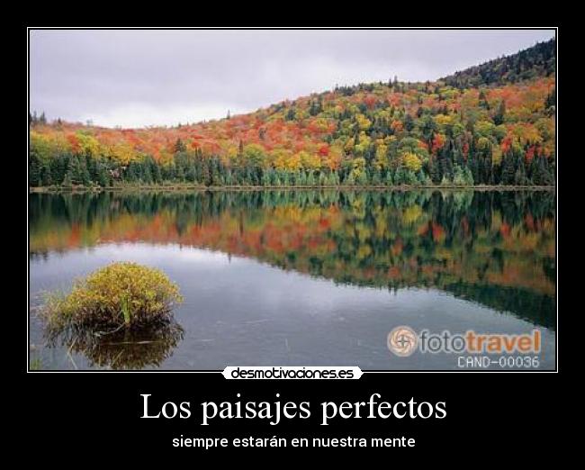 Los paisajes perfectos - 