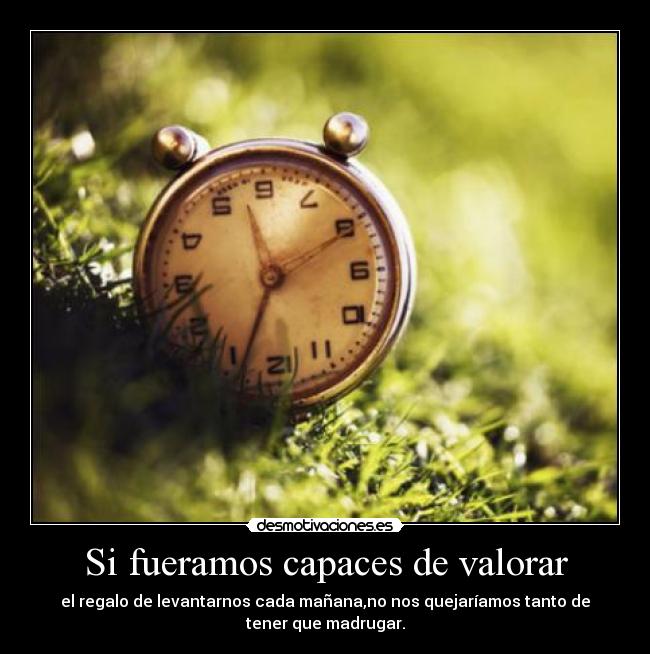 Si fueramos capaces de valorar - el regalo de levantarnos cada mañana,no nos quejaríamos tanto de
tener que madrugar.