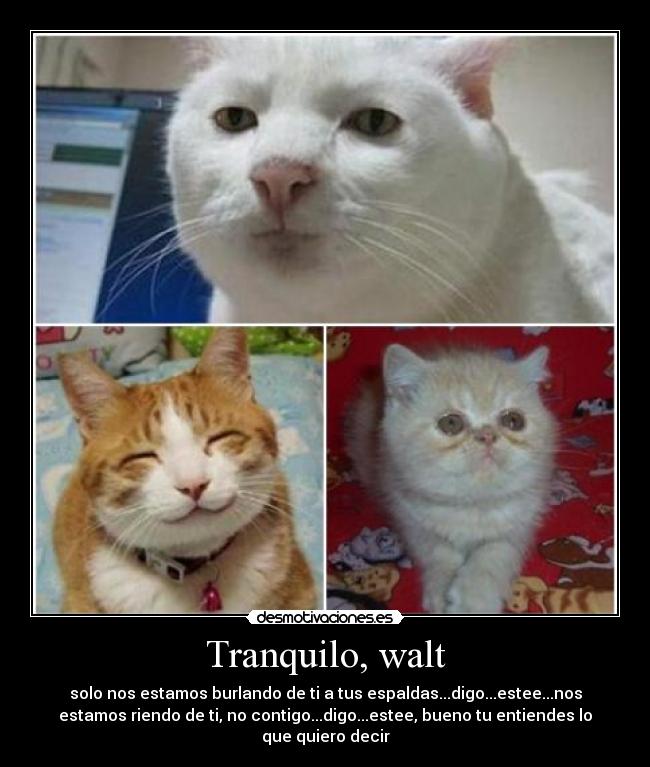carteles tranquilo walt desmotivaciones
