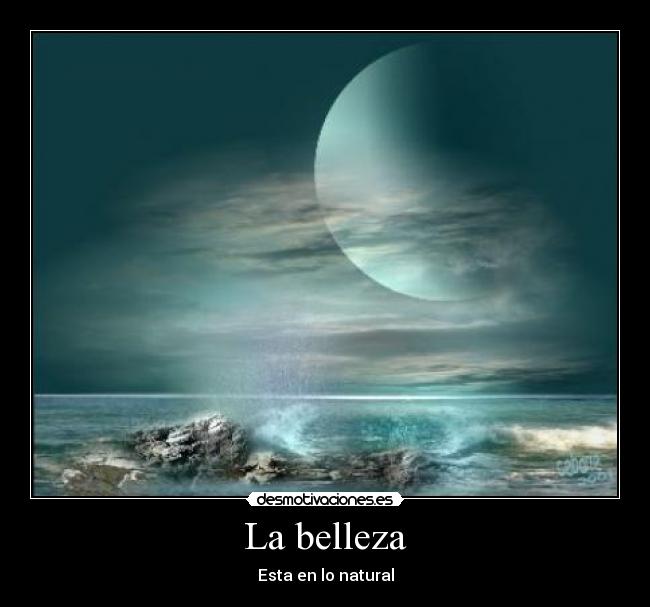 carteles wilmar desmotivaciones