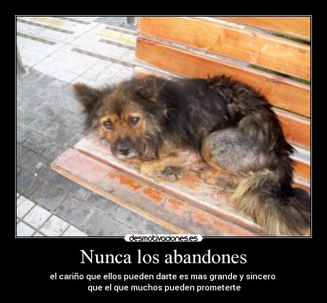 Nunca los abandones -